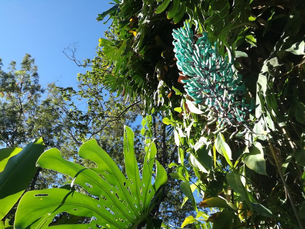 Farolas